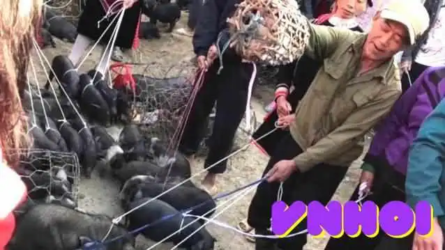 Hoang Viet Travel   Hoang Hoa Tham Cua Chu So Huu - Hà Nội