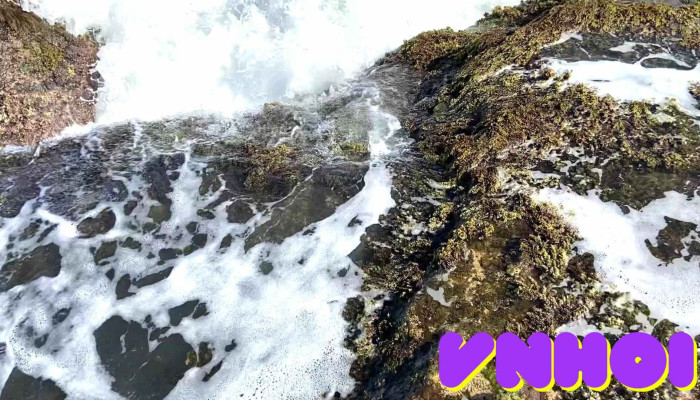 Hon Do Video - Ninh Thuận
