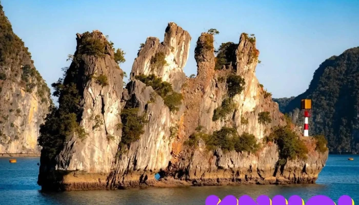 Hong Van Cruise -    Cat Ba Dream Cruise Cua Chu So Huu - Hải Phòng