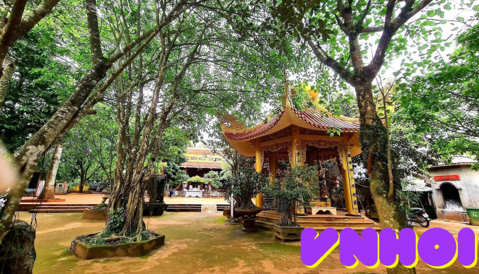 Huyệt Đạo Am Tiên - Mậu Lâm