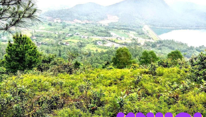 Hưng Nguyên - Nghệ An