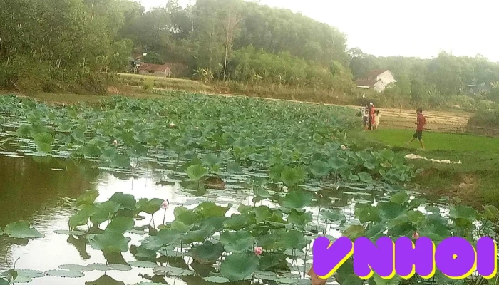 Hồ Khe Trảy - Nghệ An