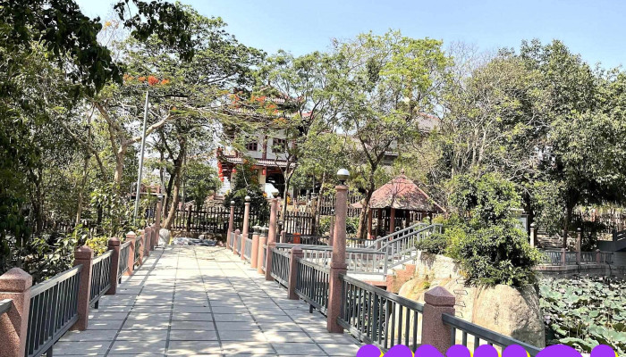 Hồ Sen A Di Đà - Tóc Tiên