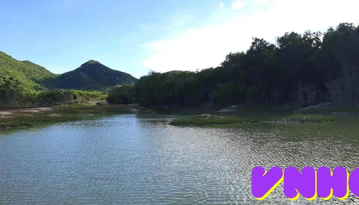 Hồ Sở Bông - Unnamed Road