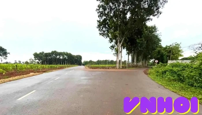 Hồ Đá Đen - Việt Nam