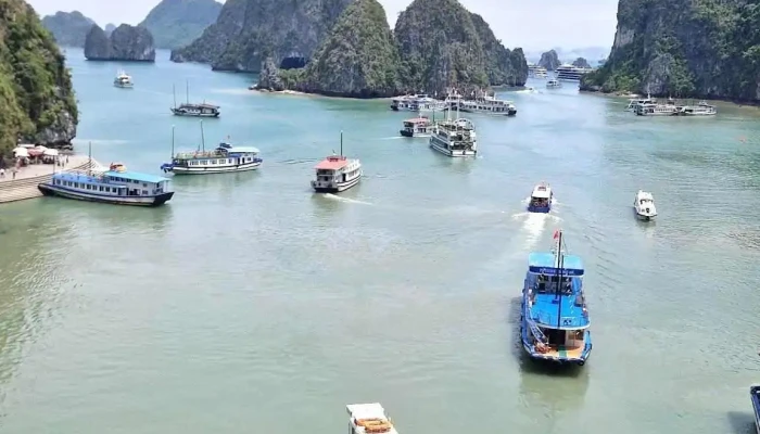 Iris Cruise Halong Bay - Bãi Cháy