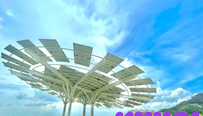 Kdl Dien Mat Troi An Hao Tat Ca - An Giang