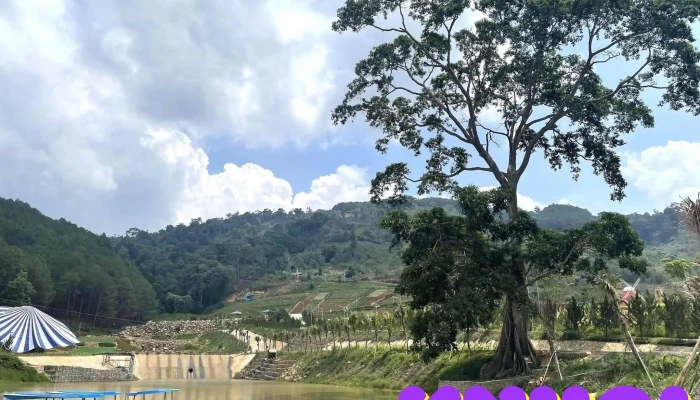 Kdl Rừng Thông Núi Voi - Elephant Mountain Pine Forest - Thôn K'Long