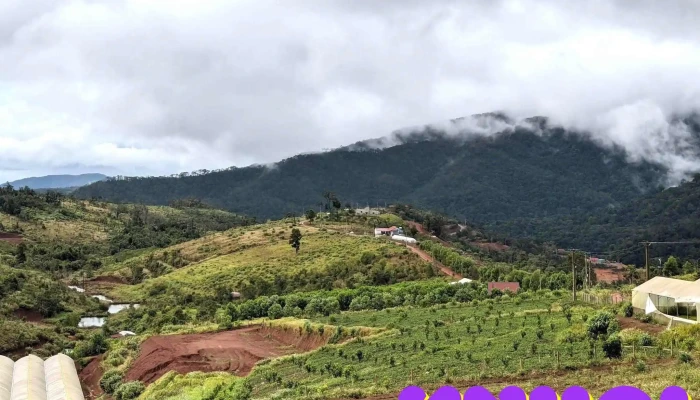 Khu 37 Ho Tat Ca - Kon Tum