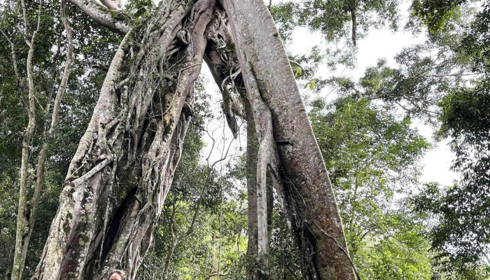 Khu Bao Ton Thien Nhien Nam Nung Tat Ca - Đắk Nông