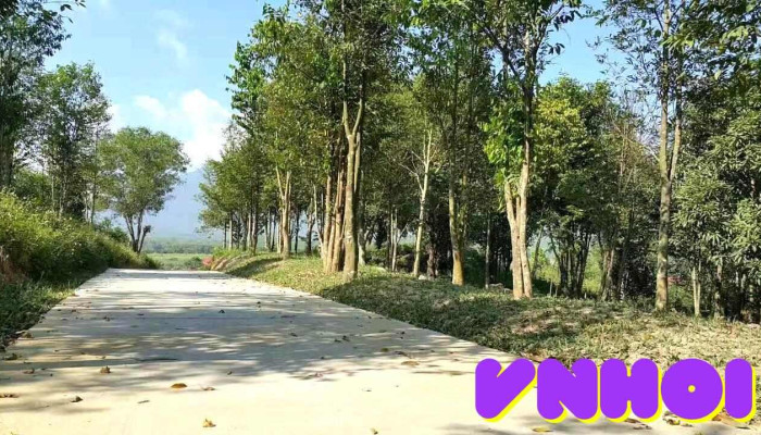 Khu Bao Ton Van Hoa Tram Huong Hoang Tram Cua Chu So Huu - Khánh Hòa