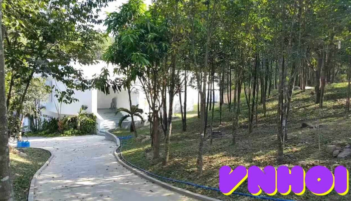 Khu Bao Ton Van Hoa Tram Huong Hoang Tram Tat Ca - Khánh Hòa
