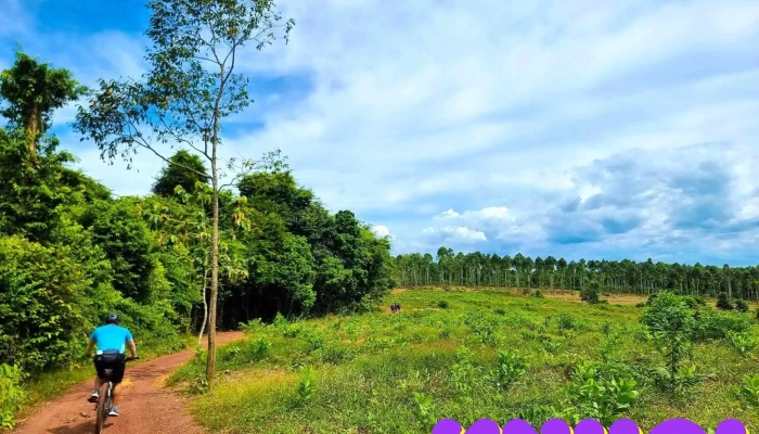 Khu Bảo tồn Thiên nhiên - Văn hóa Đồng Nai - Vĩnh Cửu