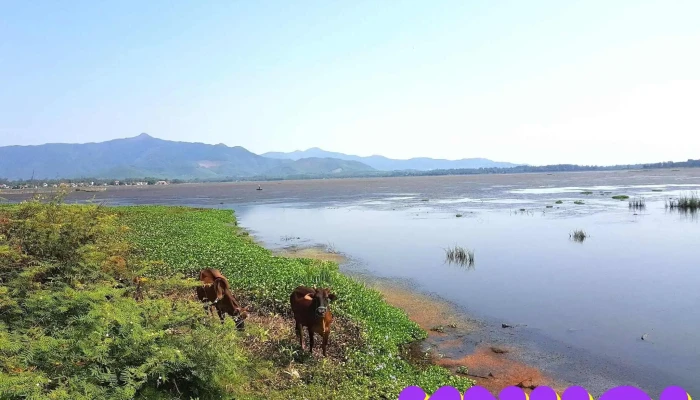 Khu Bảo Tồn Thiên Nhiên Đầm Trà Ổ - Mỹ Lợi