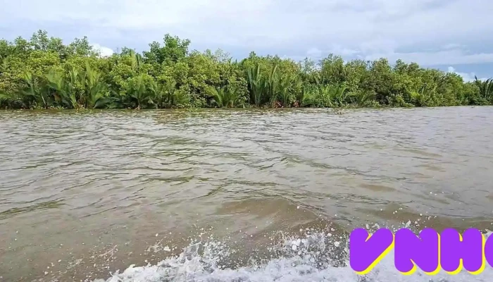 Khu Bảo Tồn Thiên Nhiên Đầm Đông Hồ - Kiên Giang