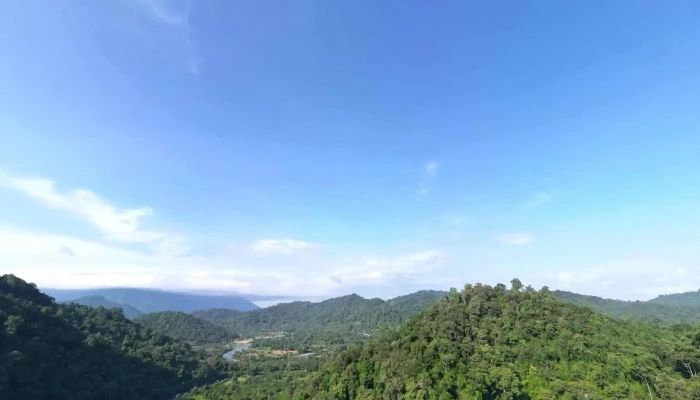 Khu Cam Trai Tu Tuc Vuon Dieu Che Do Xem Pho Va 360deg - Bình Thuận