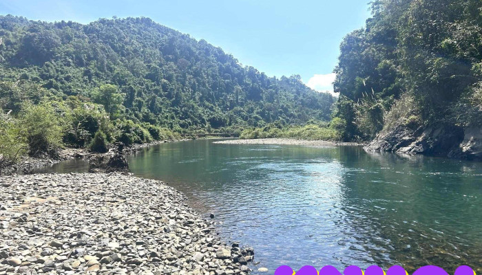 Khu Cam Trai Tu Tuc Vuon Dieu Nui - Bình Thuận