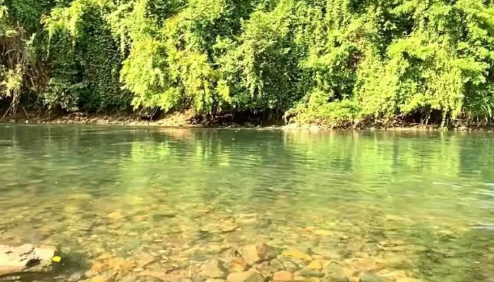 Khu Cam Trai Tu Tuc Vuon Dieu Video - Bình Thuận