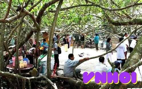Khu Di Tich Gian Gua Moi Nhat - Cần Thơ