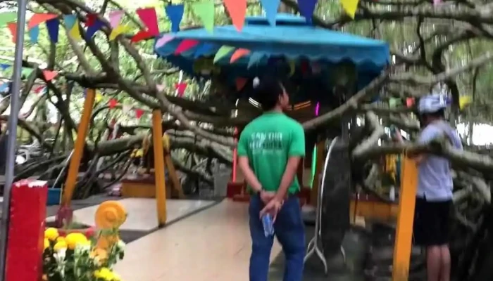Khu Di Tich Gian Gua Video - Cần Thơ