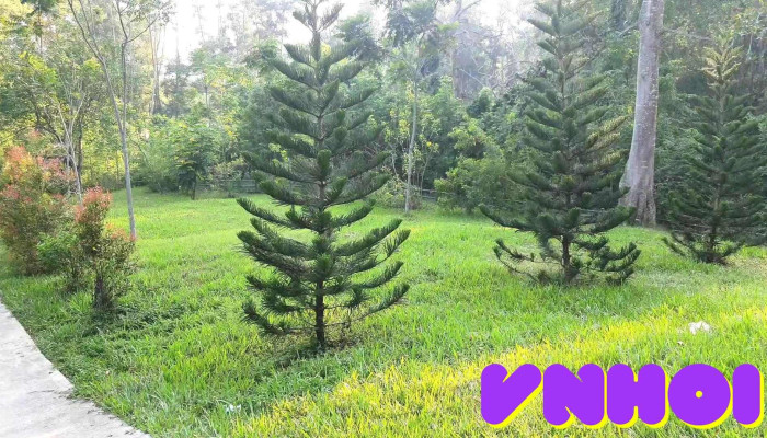 Khu Di Tich Lich Su Atk Kim Quan Video - Tuyên Quang