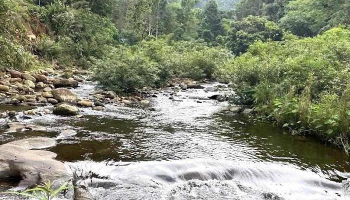 Khu Dl Sinh thái Khe Rỗ - Bắc Giang