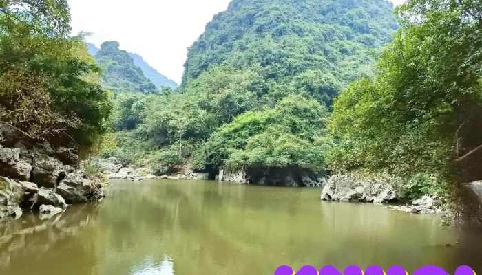 Khu Du Lich Ao Dong   Hang Luon Principal - Thanh Sơn
