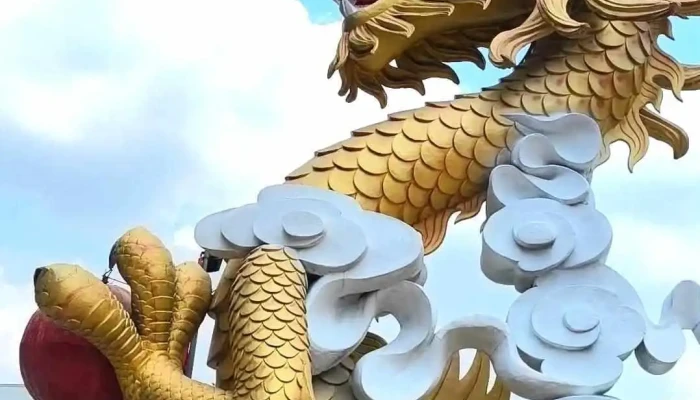 Khu Du Lich Buu Long Moi Nhat - Đồng Nai