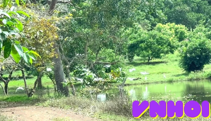 Khu Du Lich Chou Shin Video - Bình Phước