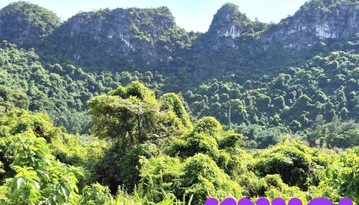 Khu Du Lich Cong Dong Viet Hai Thon Lien Minh   Xa Tran Chau - Hải Phòng