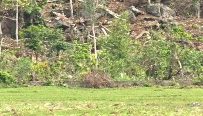 Khu Du Lich Cong Dong Viet Hai Video - Hải Phòng