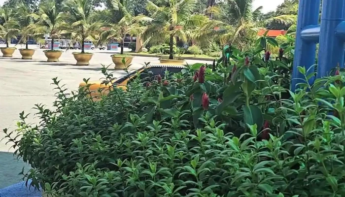 Khu Du Lich Dai Nam Moi Nhat - Bình Dương