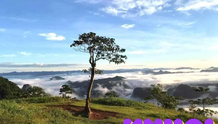 Khu Du Lich Doi Hich Tat Ca - Thanh Hóa