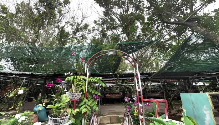 Khu Du Lich Sinh Thai Bao Thach Che Do Xem Pho Va 360deg - Bến Tre