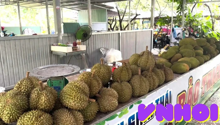 Khu Du Lich Sinh Thai Bao Thach Video - Bến Tre