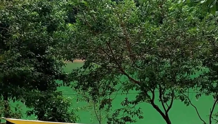 Khu Du Lich Sinh Thai Ho Thang Hen Video - Cao Bằng