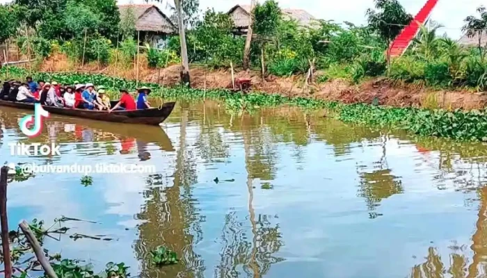 Khu Du Lich Sinh Thai Sen Hong Video - Đồng Tháp