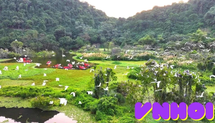 Khu Du Lich Sinh Thai Thung Nham   Ninh Binh Tat Ca - Ninh Bình