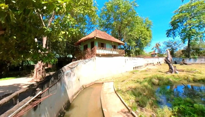 Khu Du Lich Sinh Thai Vuon Xoai Che Do Xem Pho Va 360deg - Đồng Nai