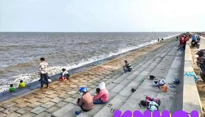 Khu Du Lich Tam Bien Con Nhan Cat - Bến Tre