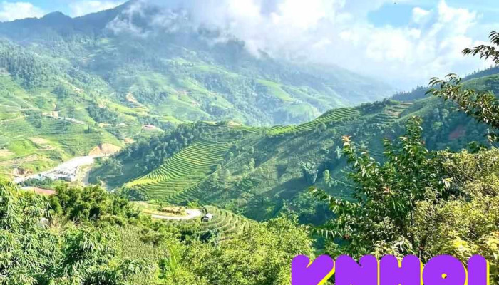 Khu Du Lich Thung Lung Xanh Sa Pa Tat Ca - Lào Cai