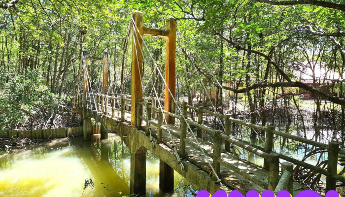 Khu Du Lịch Sinh Thái Dần Xây - An Thới Đông