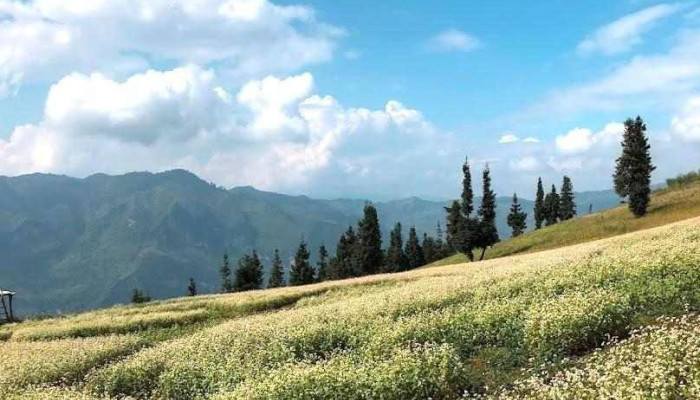 Khu du lịch Suối Thầu - Hà Giang