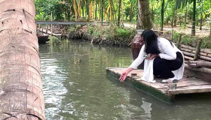 Khu Sinh Thai Ba Nhien Video - Vĩnh Long