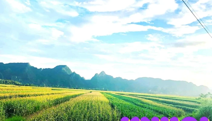 Khu Sinh Thai Bai Da Tam Son Nui - Nghệ An