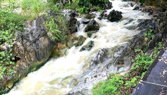 Khu Sinh Thai Dat Nong Tien Moi Nhat - Tuyên Quang
