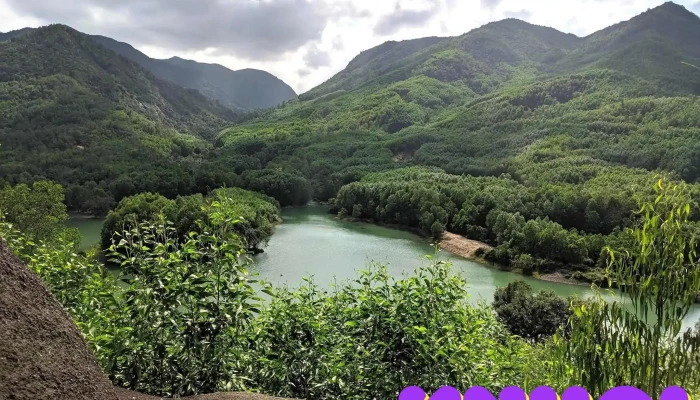 Khu Sinh Thai Thuy Dien Duy Son Nui - Quảng Nam