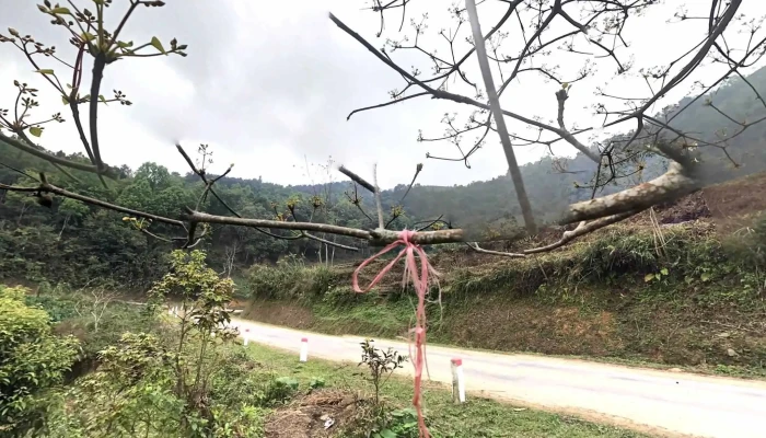 Kolia Organic Farm -  Che Do Xem Pho Va 360deg - Cao Bằng