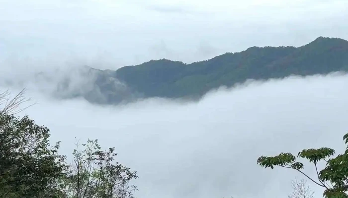 Kolia Organic Farm -  Moi Nhat - Cao Bằng
