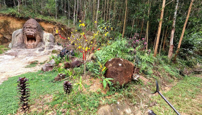 Kong Forest Nha Trang -    Atv Zipline Rafting Che Do Xem Pho Va 360deg - Khánh Hòa
